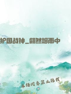 护国战神
