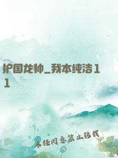 护国龙帅