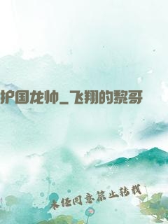 护国龙帅