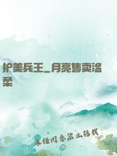 护美兵王