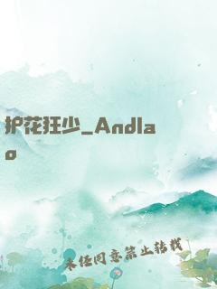 护花狂少