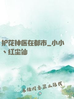 护花神医在都市