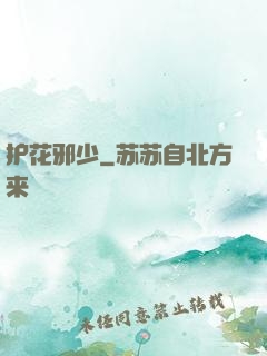 护花邪少