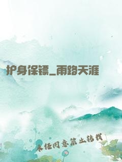 护身保镖