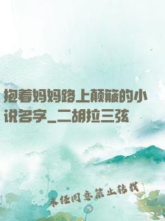 抱着妈妈路上颠簸的小说名字
