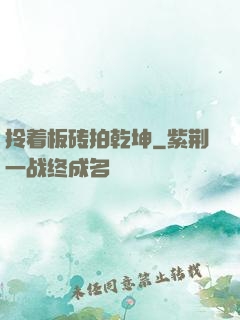 拎着板砖拍乾坤