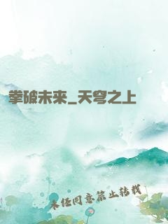 拳破未来