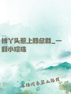 拽丫头惹上酷总裁