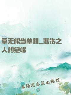 拿无限当单机