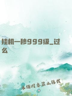 挂机一秒999级