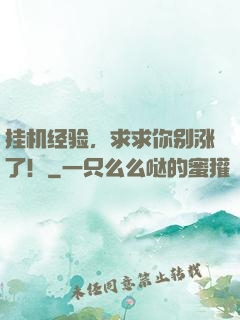 挂机经验，求求你别涨了！