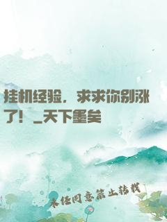 挂机经验，求求你别涨了！