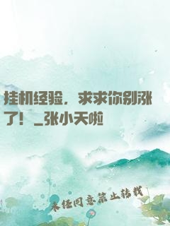 挂机经验，求求你别涨了！