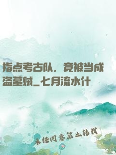 指点考古队，竟被当成盗墓贼