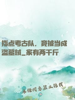 指点考古队，竟被当成盗墓贼