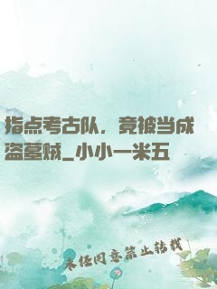 指点考古队，竟被当成盗墓贼