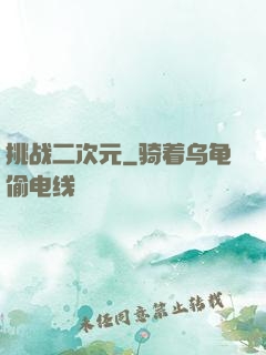 挑战二次元
