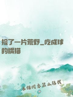 捡了一片荒野