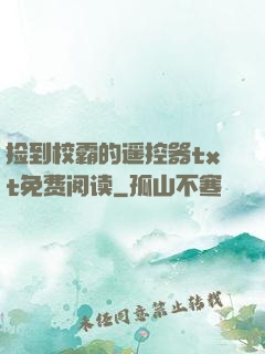 捡到校霸的遥控器txt免费阅读