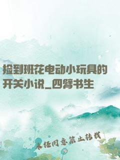 捡到班花电动小玩具的开关小说
