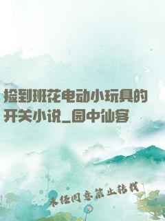 捡到班花电动小玩具的开关小说