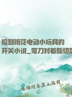 捡到班花电动小玩具的开关小说