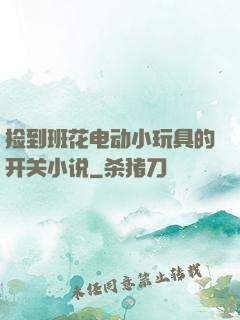 捡到班花电动小玩具的开关小说