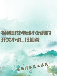 捡到班花电动小玩具的开关小说