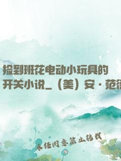 捡到班花电动小玩具的开关小说