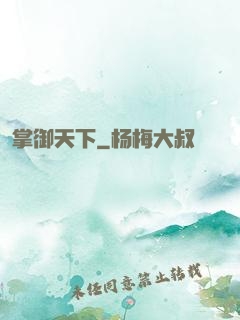 掌御天下