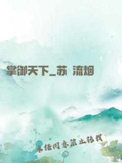 掌御天下