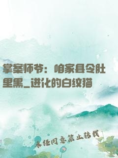 掌案师爷：咱家县令肚里黑