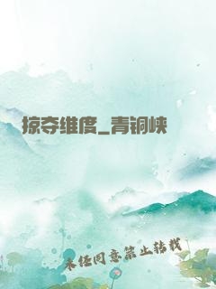 掠夺维度