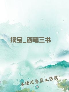 摸宝