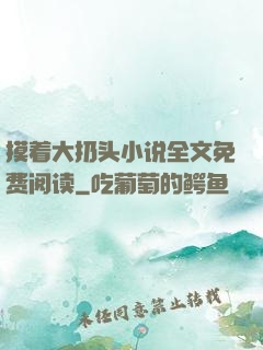摸着大扔头小说全文免费阅读