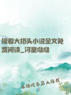 摸着大扔头小说全文免费阅读