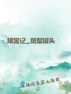 摸金记