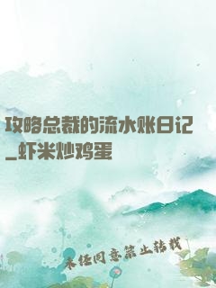 攻略总裁的流水账日记