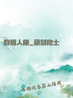 数据人脑
