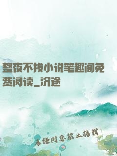 整夜不拔小说笔趣阁免费阅读