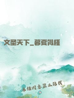 文圣天下