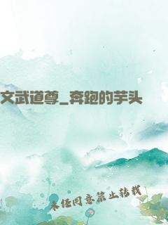 文武道尊