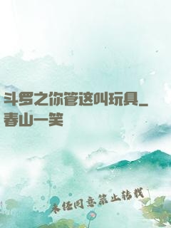 斗罗之你管这叫玩具
