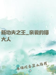 新功夫之王