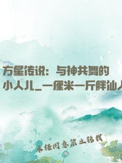 方星传说：与神共舞的小人儿