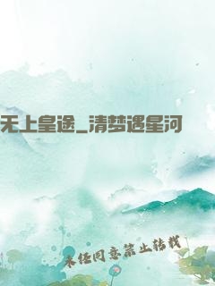 无上皇途