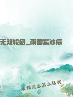 无双轮回