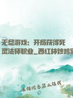 无尽游戏：开局获得死灵法师职业
