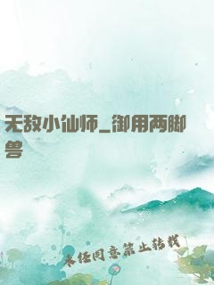 无敌小仙师