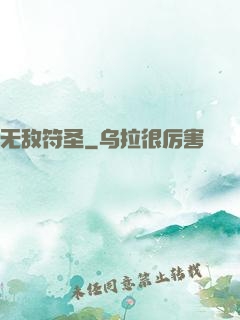 无敌符圣